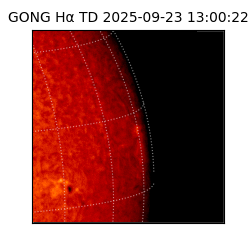 gong - 2025-09-23T13:00:22
