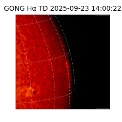 gong - 2025-09-23T14:00:22
