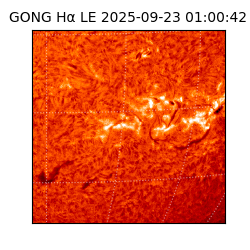 gong - 2025-09-23T01:00:42