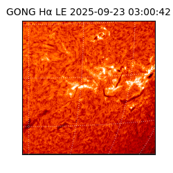 gong - 2025-09-23T03:00:42