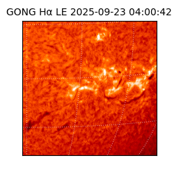 gong - 2025-09-23T04:00:42