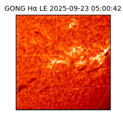 gong - 2025-09-23T05:00:42