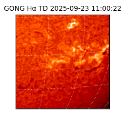 gong - 2025-09-23T11:00:22