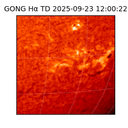 gong - 2025-09-23T12:00:22