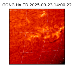 gong - 2025-09-23T14:00:22