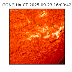 gong - 2025-09-23T16:00:42