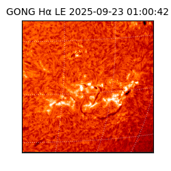 gong - 2025-09-23T01:00:42