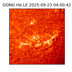 gong - 2025-09-23T04:00:42