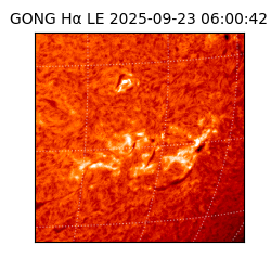 gong - 2025-09-23T06:00:42