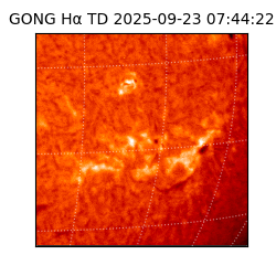 gong - 2025-09-23T07:44:22