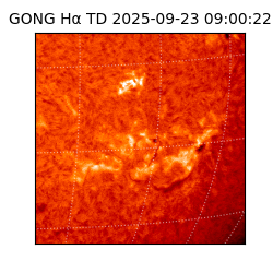 gong - 2025-09-23T09:00:22