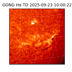 gong - 2025-09-23T10:00:22