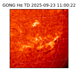 gong - 2025-09-23T11:00:22