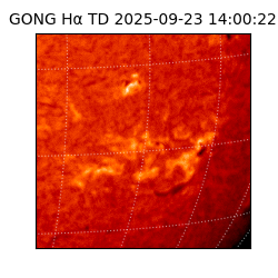 gong - 2025-09-23T14:00:22