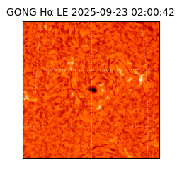 gong - 2025-09-23T02:00:42