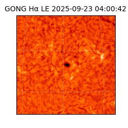 gong - 2025-09-23T04:00:42
