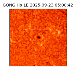 gong - 2025-09-23T05:00:42