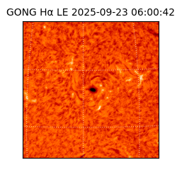 gong - 2025-09-23T06:00:42