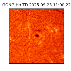 gong - 2025-09-23T11:00:22