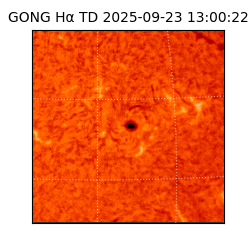 gong - 2025-09-23T13:00:22