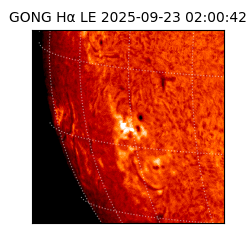 gong - 2025-09-23T02:00:42