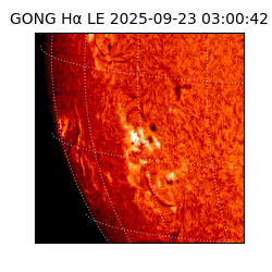 gong - 2025-09-23T03:00:42