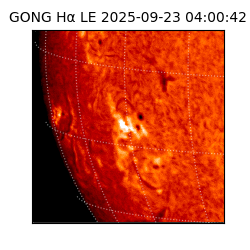 gong - 2025-09-23T04:00:42