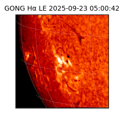 gong - 2025-09-23T05:00:42