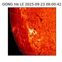 gong - 2025-09-23T06:00:42