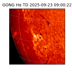 gong - 2025-09-23T09:00:22