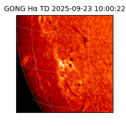 gong - 2025-09-23T10:00:22