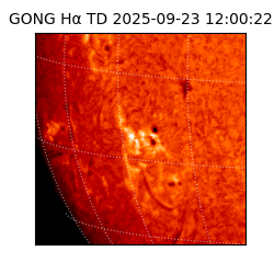 gong - 2025-09-23T12:00:22