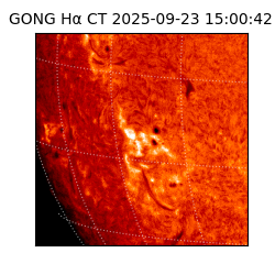 gong - 2025-09-23T15:00:42