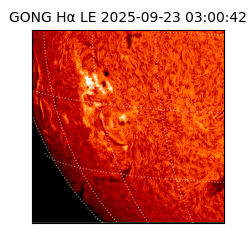 gong - 2025-09-23T03:00:42