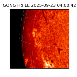 gong - 2025-09-23T04:00:42