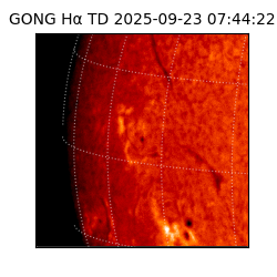 gong - 2025-09-23T07:44:22