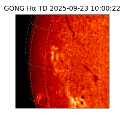 gong - 2025-09-23T10:00:22