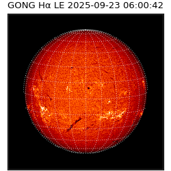 gong - 2025-09-23T06:00:42