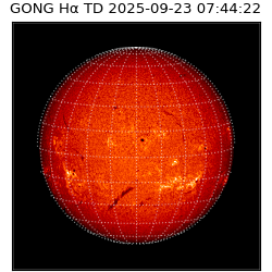 gong - 2025-09-23T07:44:22