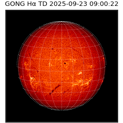 gong - 2025-09-23T09:00:22