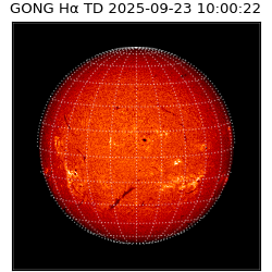 gong - 2025-09-23T10:00:22