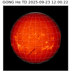 gong - 2025-09-23T12:00:22