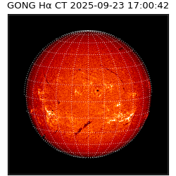 gong - 2025-09-23T17:00:42