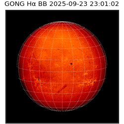 gong - 2025-09-23T23:01:02