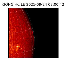 gong - 2025-09-24T03:00:42