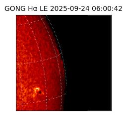gong - 2025-09-24T06:00:42