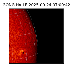gong - 2025-09-24T07:00:42
