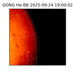 gong - 2025-09-24T19:00:02