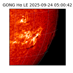 gong - 2025-09-24T05:00:42