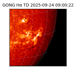 gong - 2025-09-24T09:00:22